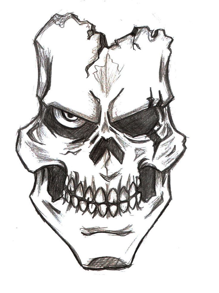 736x981 Photos Skull Drawings,