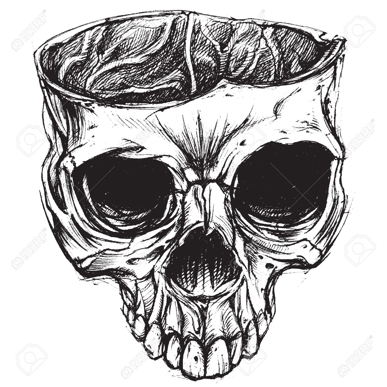 1300x1300 Skull Drawing 02 Royalty Free Cliparts, Vectors, And Stock