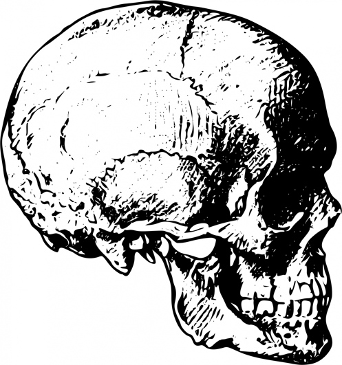 497x531 Cool Skull Clip Art (And Funny!)