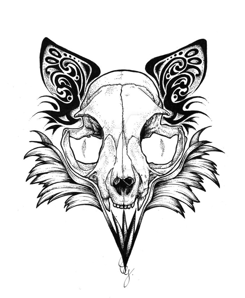 811x984 Ink, Skull And Cat By Nihs