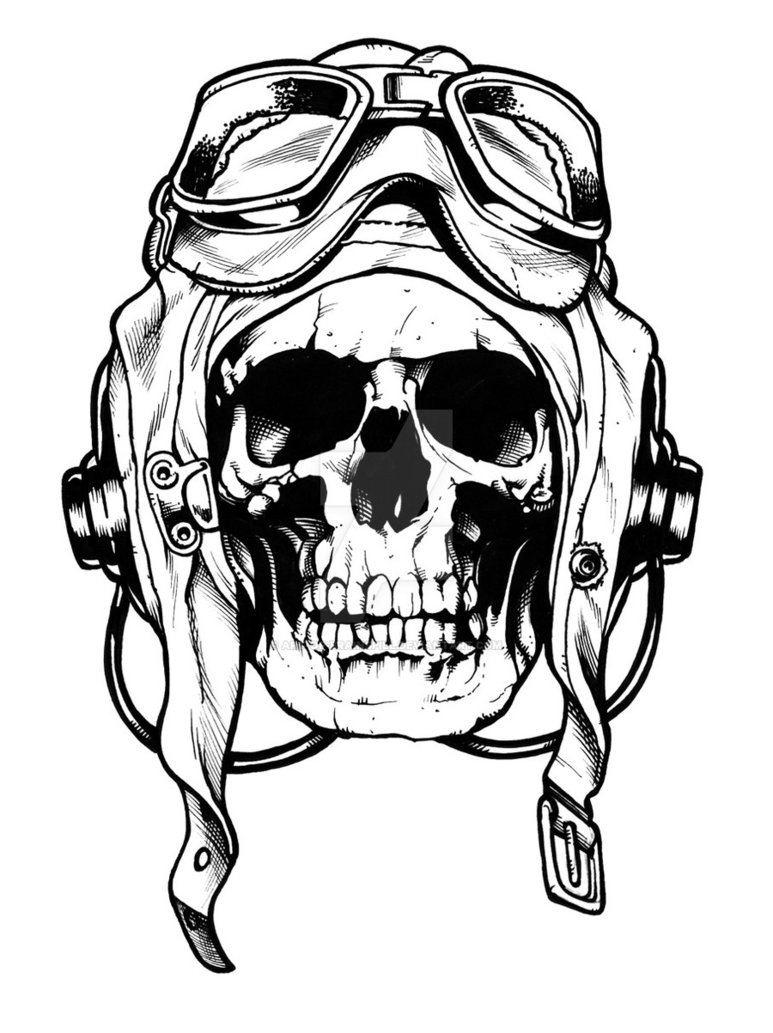 773x1033 Skull Sketch By Art Of Brainspill
