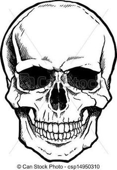 236x344 Vector Black And White Illustration Of Human Skull With A Lower