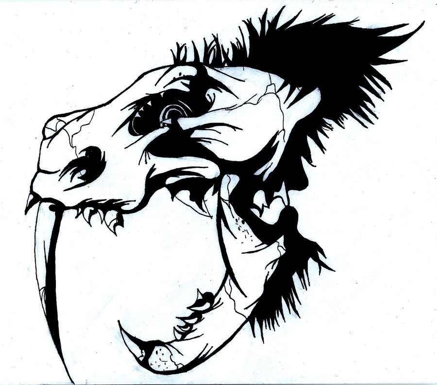 900x792 Tiger Skull By Wolfheartspirit