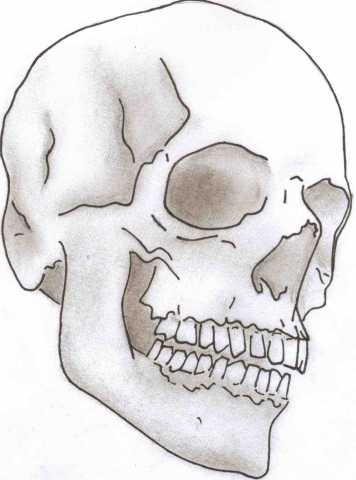 356x480 Tiny Drawing I Want Infinity Refuse To Sink Anchor Easy Skull