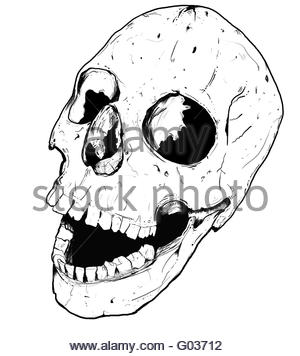 300x356 Hand Drawing Skull Head Cartoon For Halloween Concept, Isolated