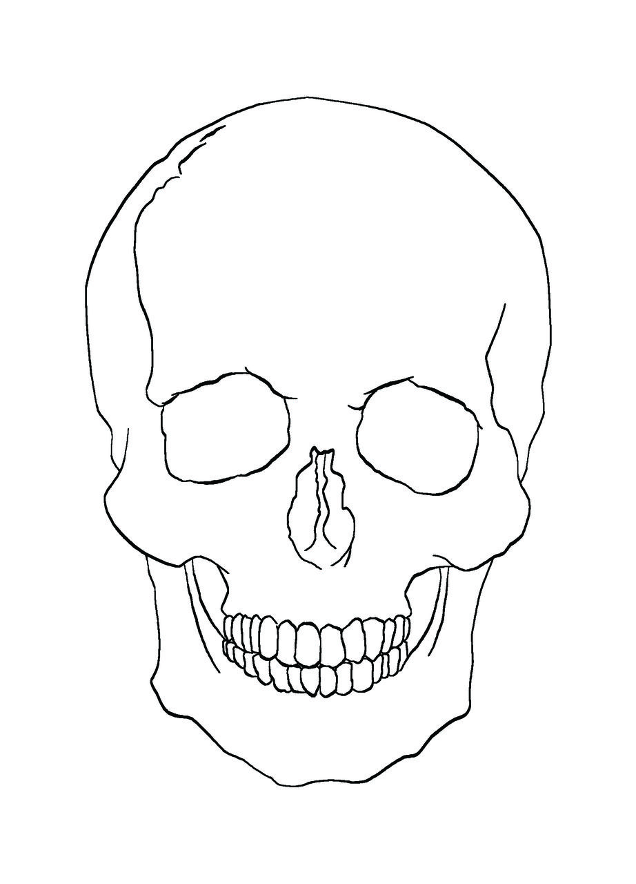 Skull Drawing Outline at GetDrawings | Free download