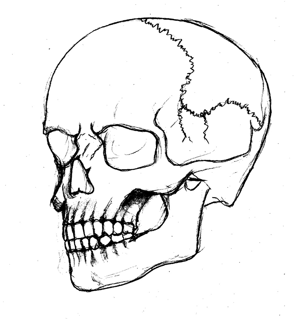954x1024 Skull Outline Sasgsasg