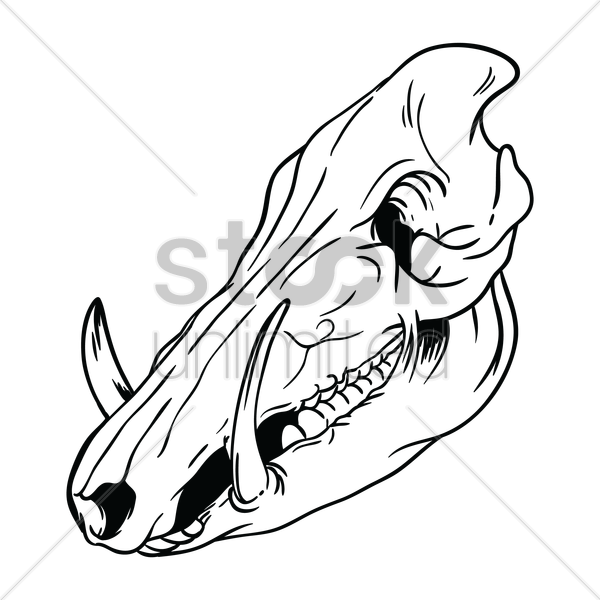 600x600 Free Pig Skull Vector Image