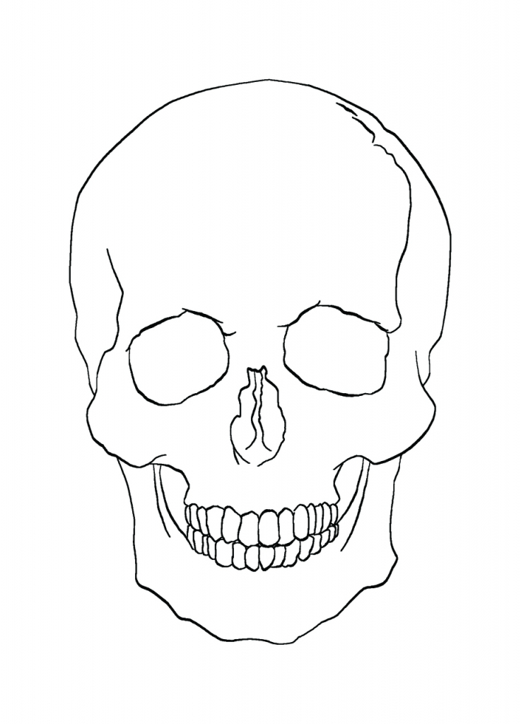 737x1024 Simple Skull Drawing