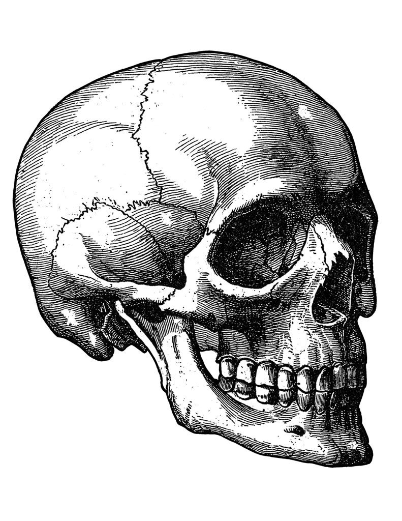 791x1024 Engraved Skulls Ebook