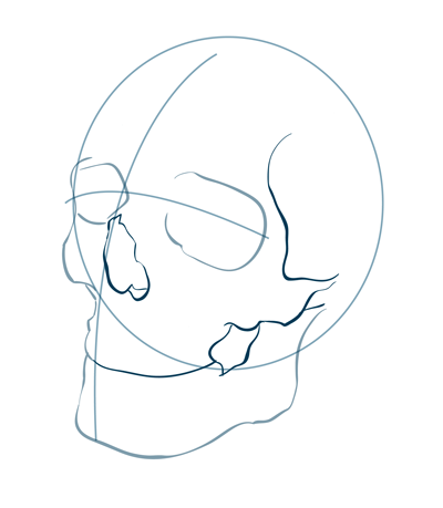 400x459 How To Draw Skull Human Step 1 (2) Skull Drawings