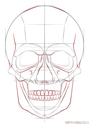 345x478 How To Draw A Human Skull Step By Step. Drawing Tutorials For Kids