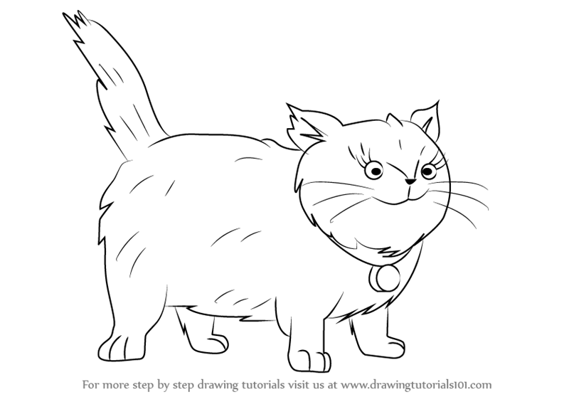 800x565 Easy Step By Step Drawings Fluffy Cats Owl Easy Drawings Step By