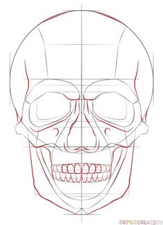 236x326 How To Draw A Human Skull Step By Step. Drawing Tutorials For Kids
