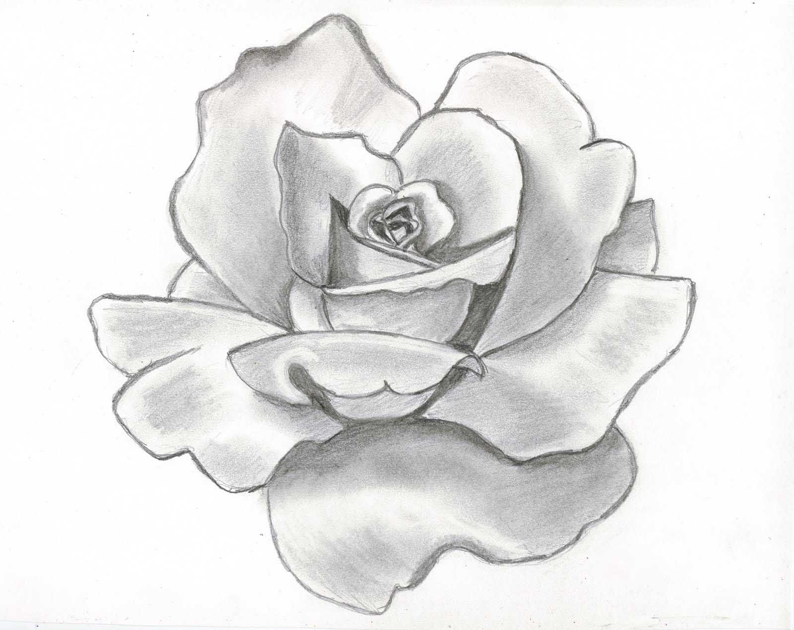 1600x1268 Dongetrabi Black And White Flowers Drawings Tumblr Images