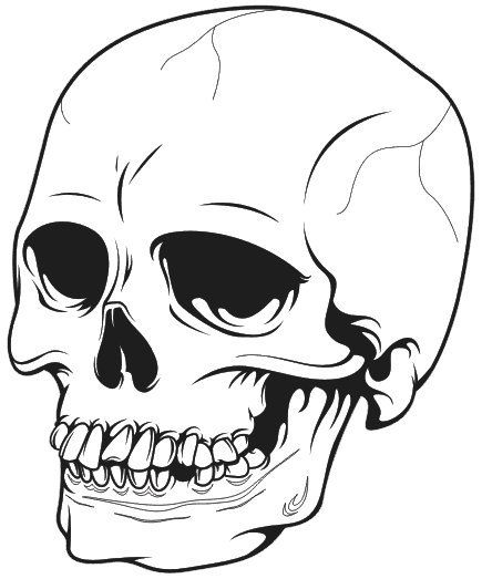 435x523 How To Draw A Skull