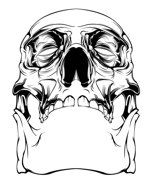 500x582 Skull Illustration Hydro74