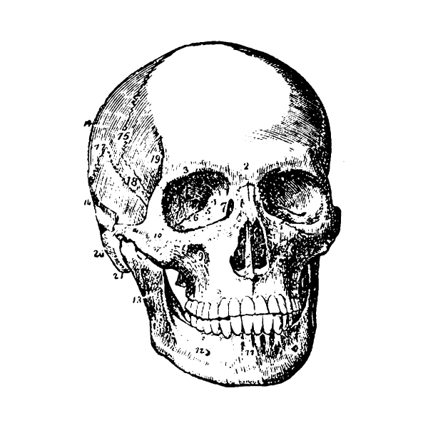 600x600 Design A Gothic Poster Using Vector Elements