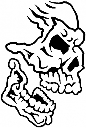 300x447 Skull Face Side View Car Or Truck Window Decal Sticker