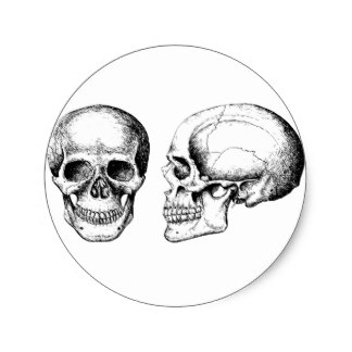 324x324 Skull Face Stickers Zazzle