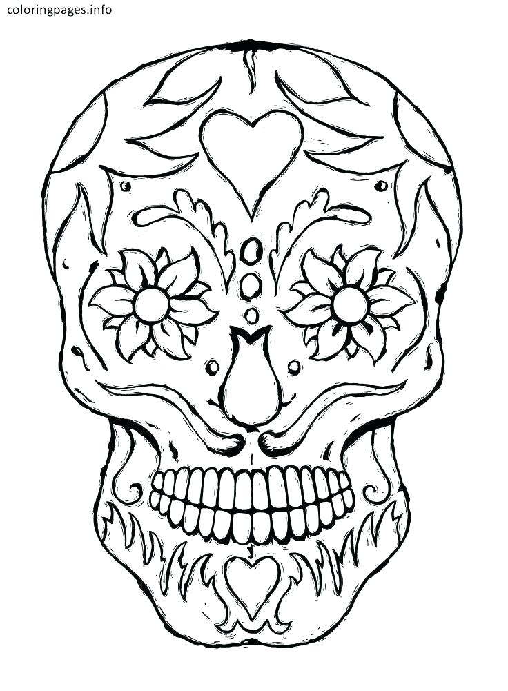 736x1001 Hibiscus Flower Coloring Page Flower Coloring Pages Printable Free