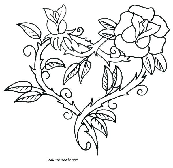 600x581 This Is Roses Coloring Pages Images Coloring Pages Rose Coloring