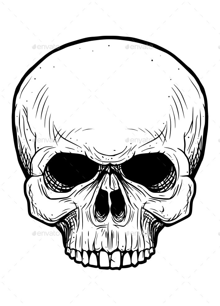 709x984 Skull Head Without Lower Jaw With 4 Style Color By Artestworks