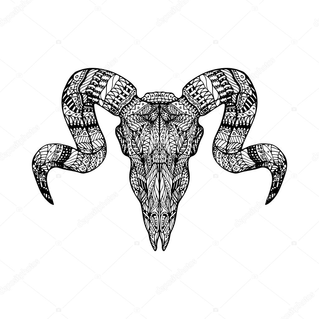 1024x1024 Zentangle Skull Head Of Ram Stock Vector Megavic93