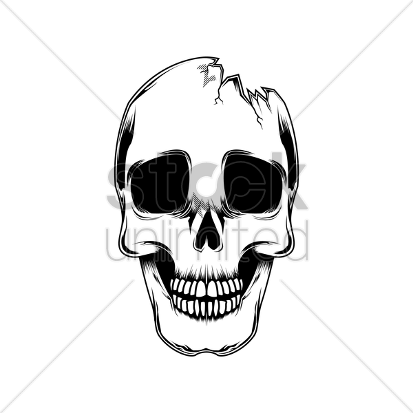 600x600 Broken Skull Vector Image