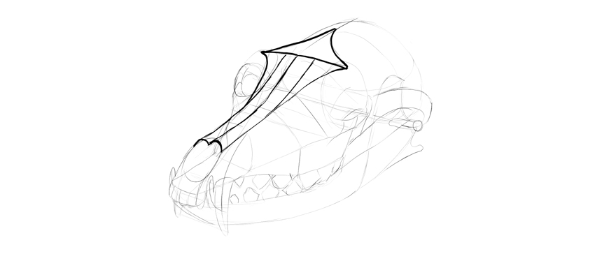 850x364 How To Use An Animal Skull For An Art Study