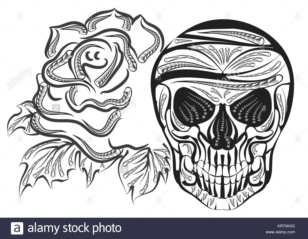 1300x1009 Skull Drawing Black And White Stock Photos Amp Images