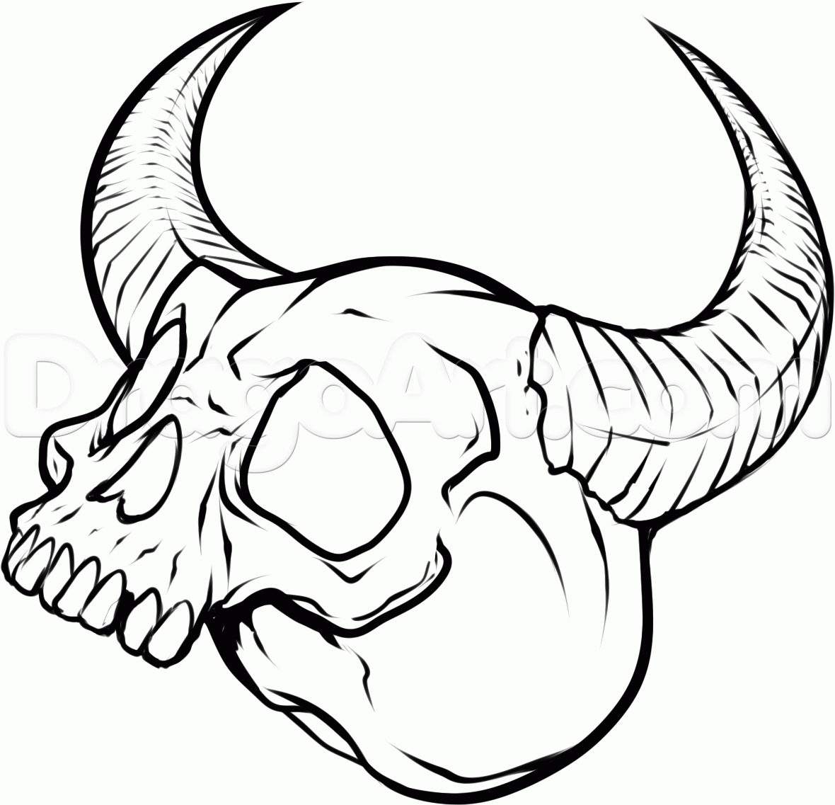 1180x1137 Bull Skull Line Drawing How To Draw Skull Tattoos, Chainimage