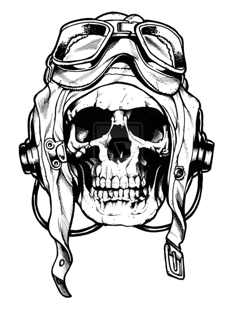 773x1033 Skull Sketch By Art Of Brainspill On Skulls