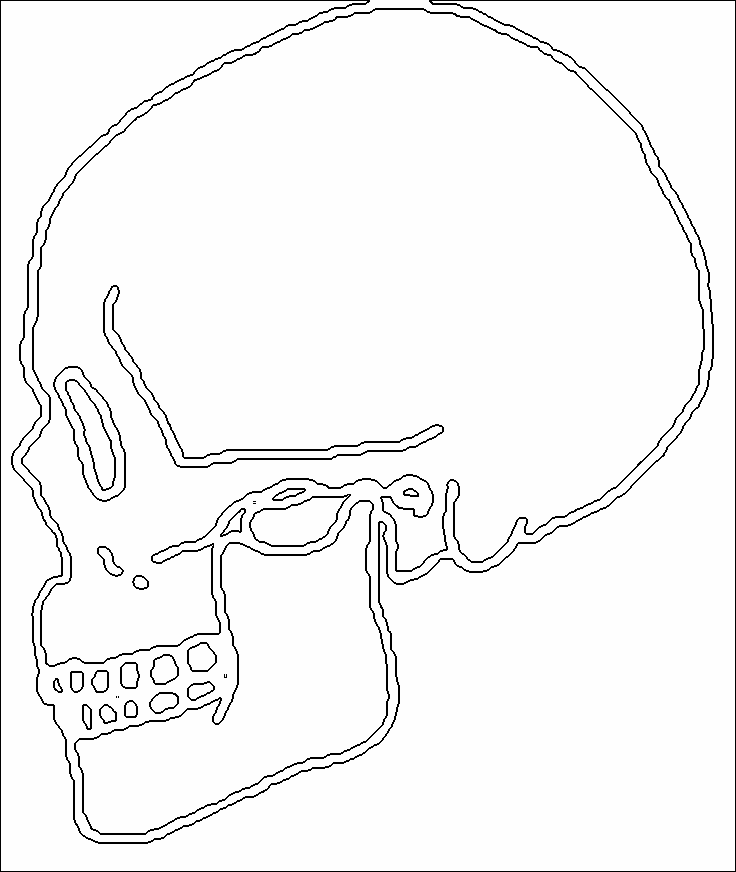 736x872 Halloween Coloring Sheets Human Skull Drawing