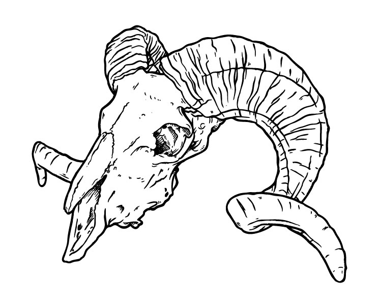 745x606 Illustration Maynerd Creative