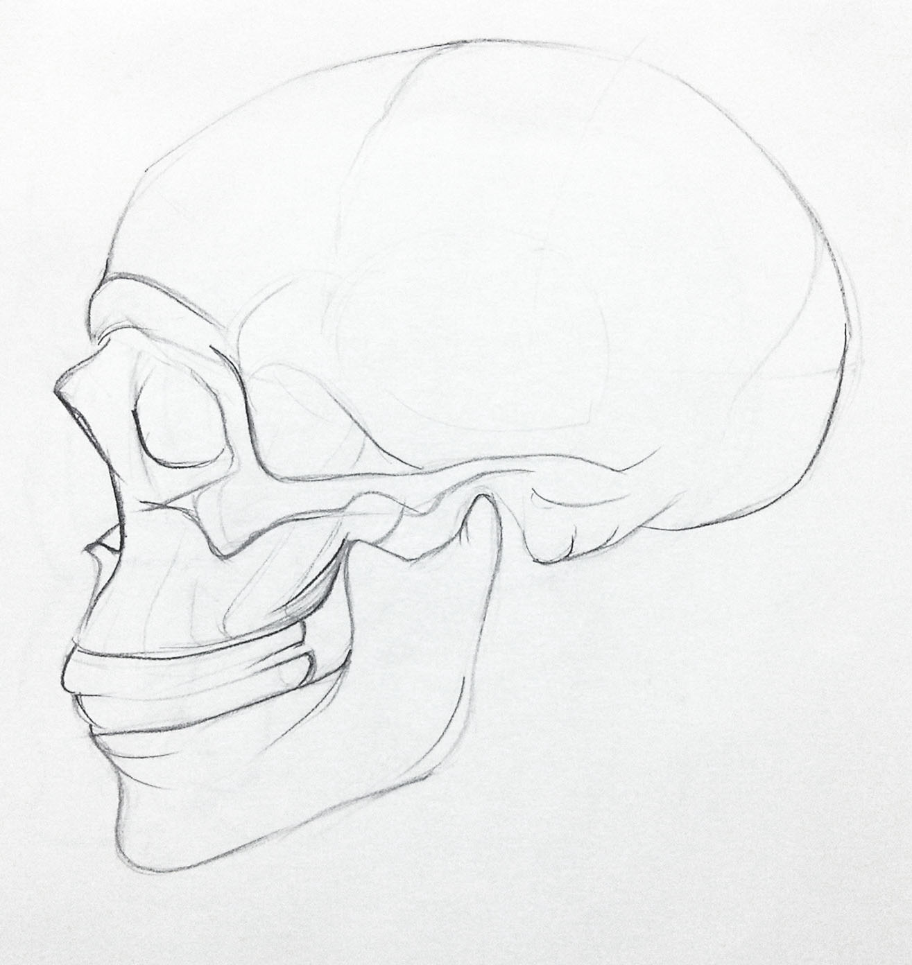 1315x1392 Laura Howard