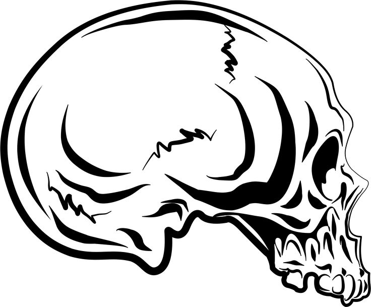 736x609 46 Best Skull Images On Skull Tattoos, Tattoo Designs