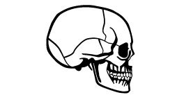 264x137 Download Skull Profile Vector Free