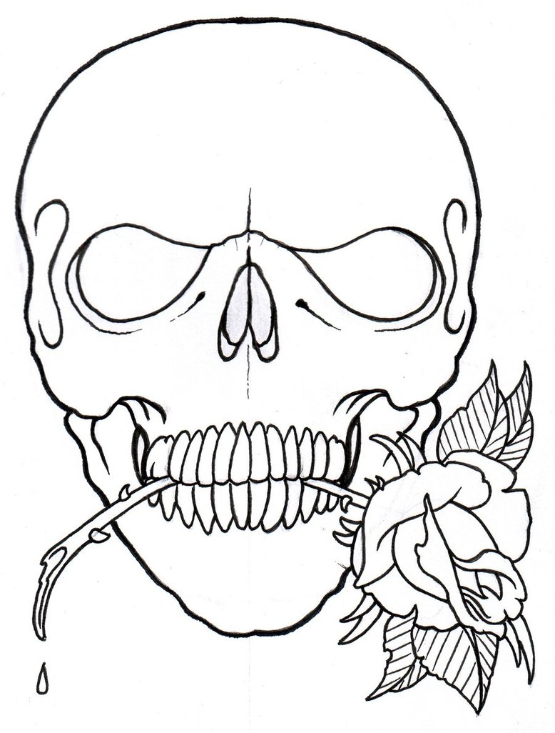 778x1026 Skull And Rose Outline By Vikingtattoo