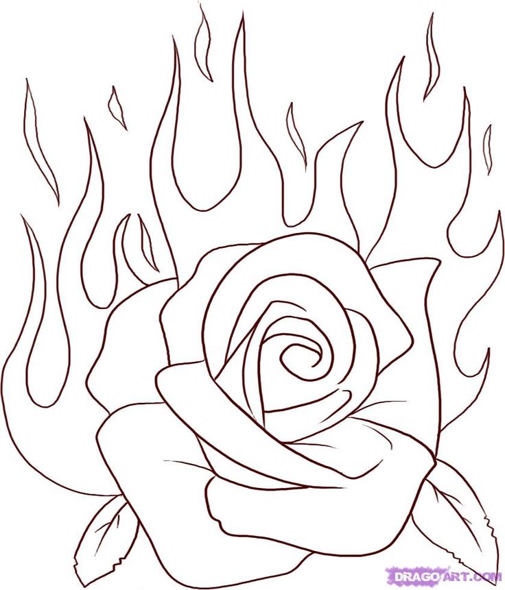 736x861 Drawn Rose Skull Inside Many Interesting Cliparts