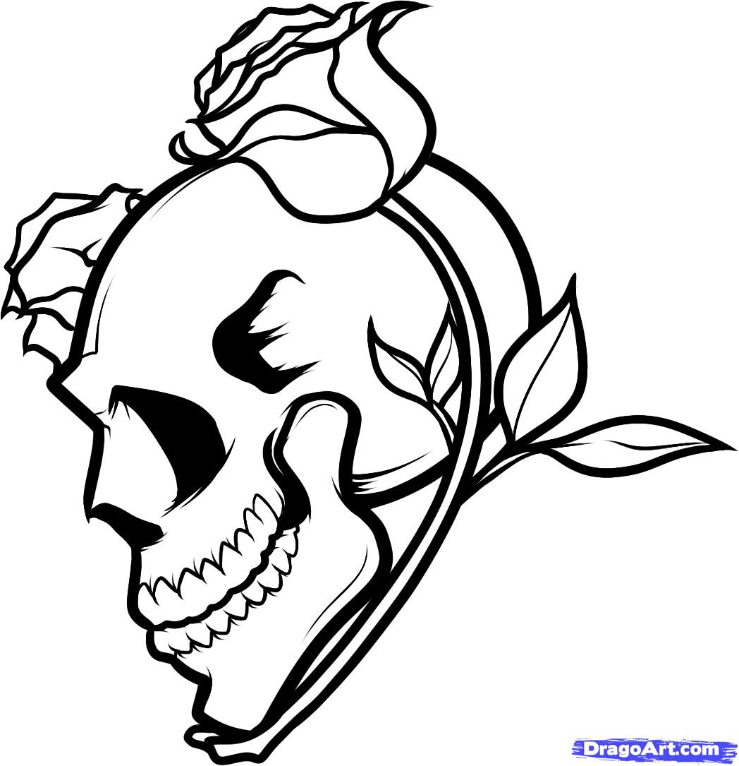 Skull Roses Drawing at GetDrawings | Free download