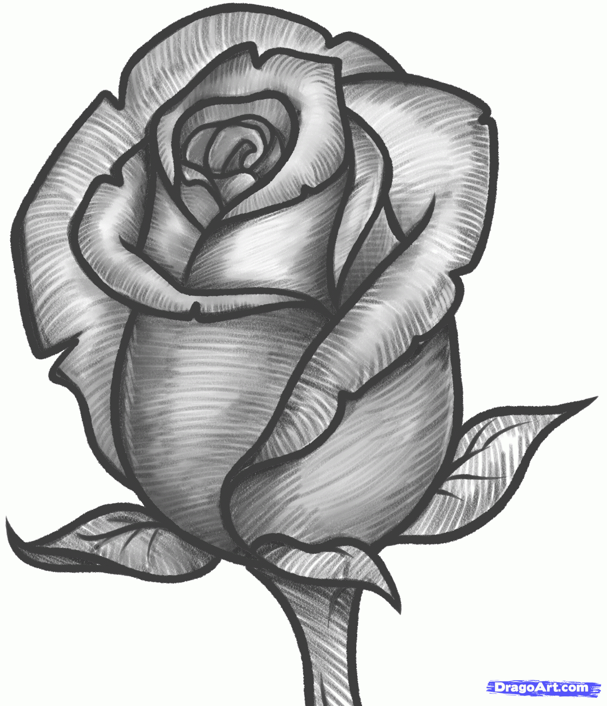 1244x1446 Graffiti Drawings Of Roses Free Download Hearts Drawings Skulls