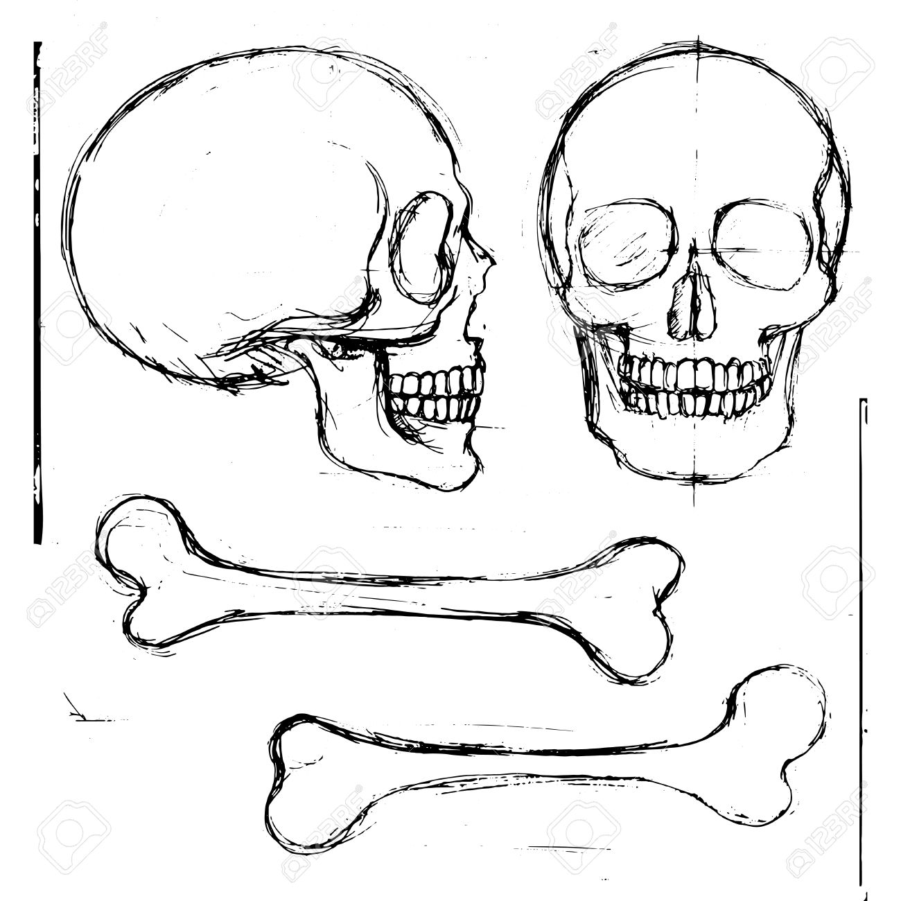 1300x1300 Isolated Pencil Hand Drawn Human Skull And Tibia Bones, Front