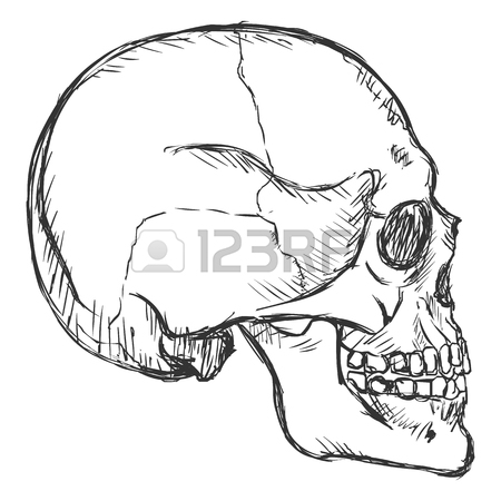 450x450 Comic Skull Human Side View Image Vector Illustration Royalty Free