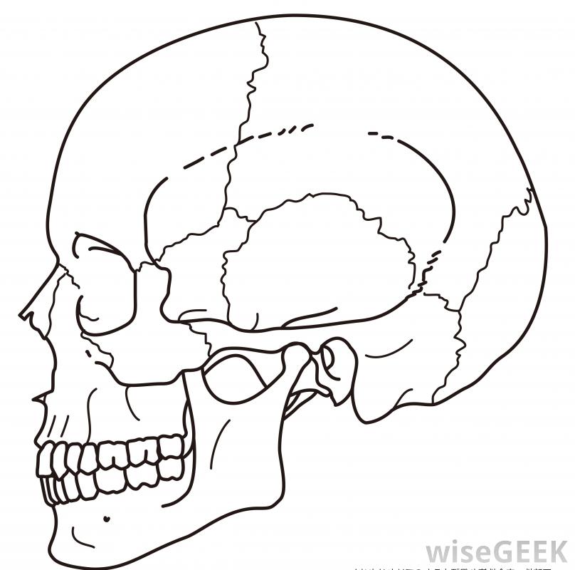 Skull Simple Drawing at GetDrawings | Free download