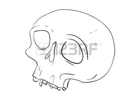 450x318 Cartoon Style Skull, Simple Vector Illustration Royalty Free