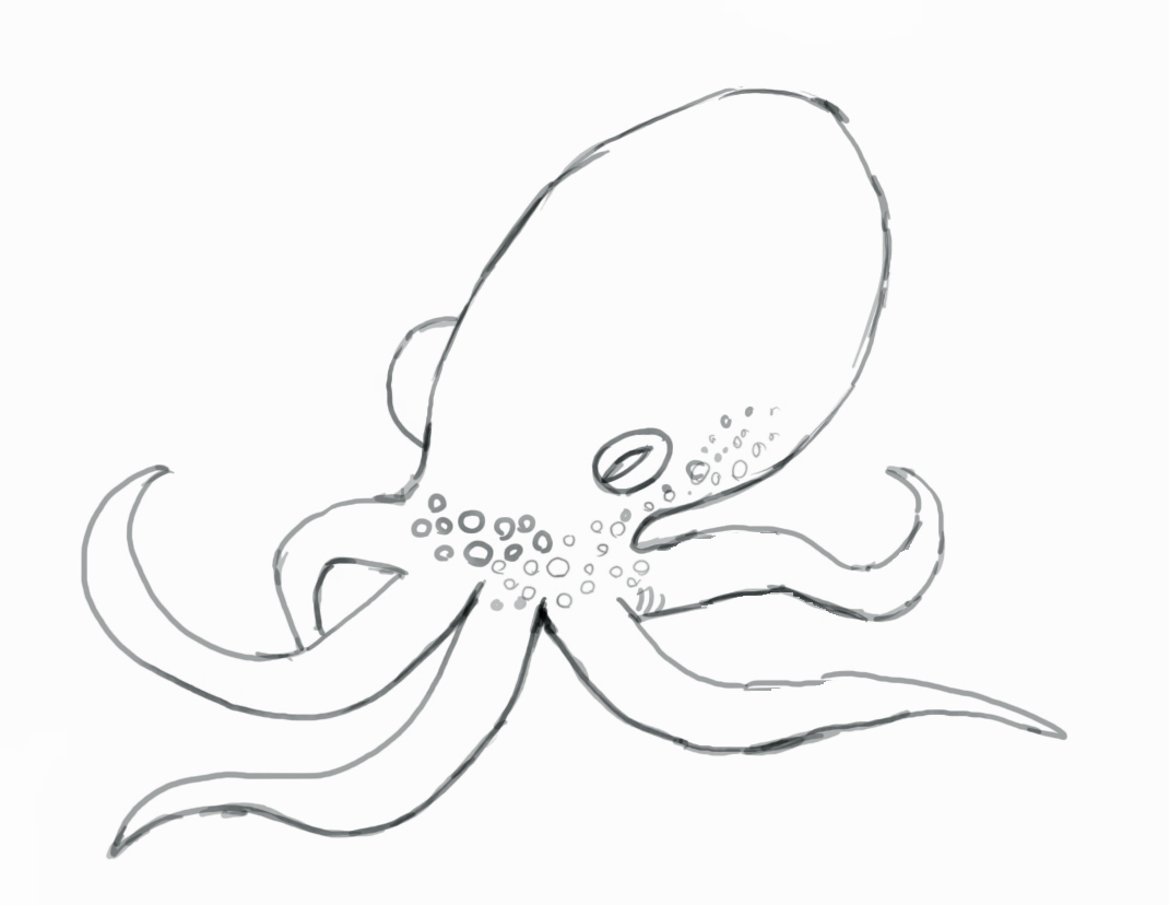 1070x828 Coloring Pages Lovely Octopus Drawings Skull Drawing Coloring