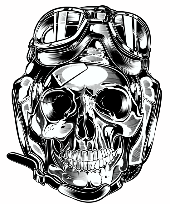 545x651 Skull Amp Pistons