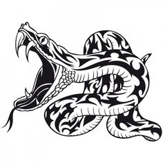 236x236 Snake Head Fangs Drawings Clipart