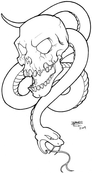 321x603 Snake N' Skull By Asblackascoal